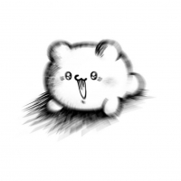 00033997