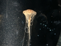 00141640