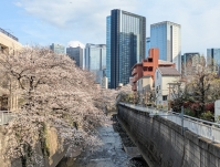 00164210