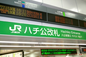 道のり写真