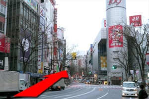 道のり写真