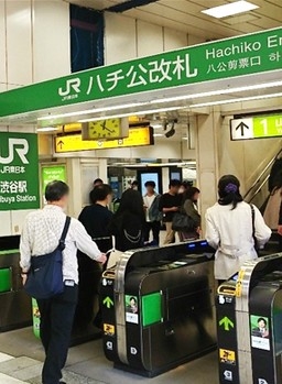 道のり写真
