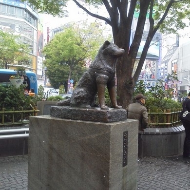 道のり写真